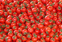 安全无毒纯净的24小时不停呼叫软件