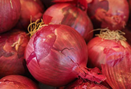 在线短信轰炸网页版