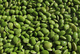 在线短信轰炸网页版