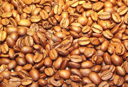 激活市场稳定的24小时不停呼叫软件